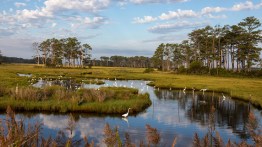 Summer Destinations: Exploring Maryland Beaches